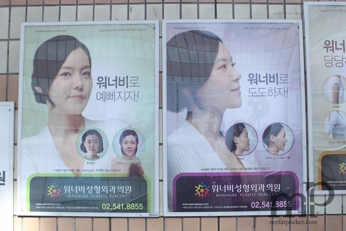 plastic surgery in korea essay